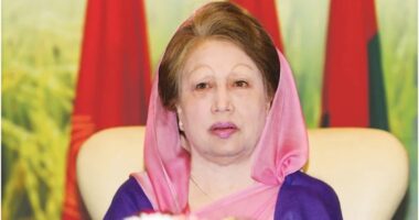 বেগম খালেদা জিয়া চিকিৎসা গ্রহণে সক্ষম, জানালেন ডা. জাহিদ