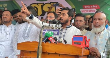 নির্বাচনের আগে গণভোটের কথা বলছে নিজেদের রাজনৈতিক ফায়দা লুটতে : নুরুল হক নুর