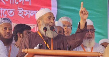 স্বপ্নের রাষ্ট্র গড়ার পথে দাঁড়িপাল্লার গণজোয়ারই হবে পরিবর্তনের প্রতীক : মুজিবুর রহমান