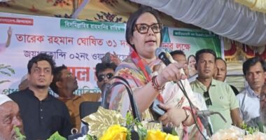 জামায়াত ও এনসিপি নির্বাচন চায় না, সরকারের সঙ্গে সুবিধা নিতে চায় : রুমিন ফারহানা