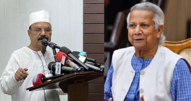 বিএনপি মাঠে নামলে এই সরকার টিকতে পারবে না : গয়েশ্বর