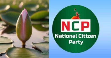 অবশেষে ‘শাপলা কলি’ প্রতীক নিতে সম্মত হয়েছে এনসিপি