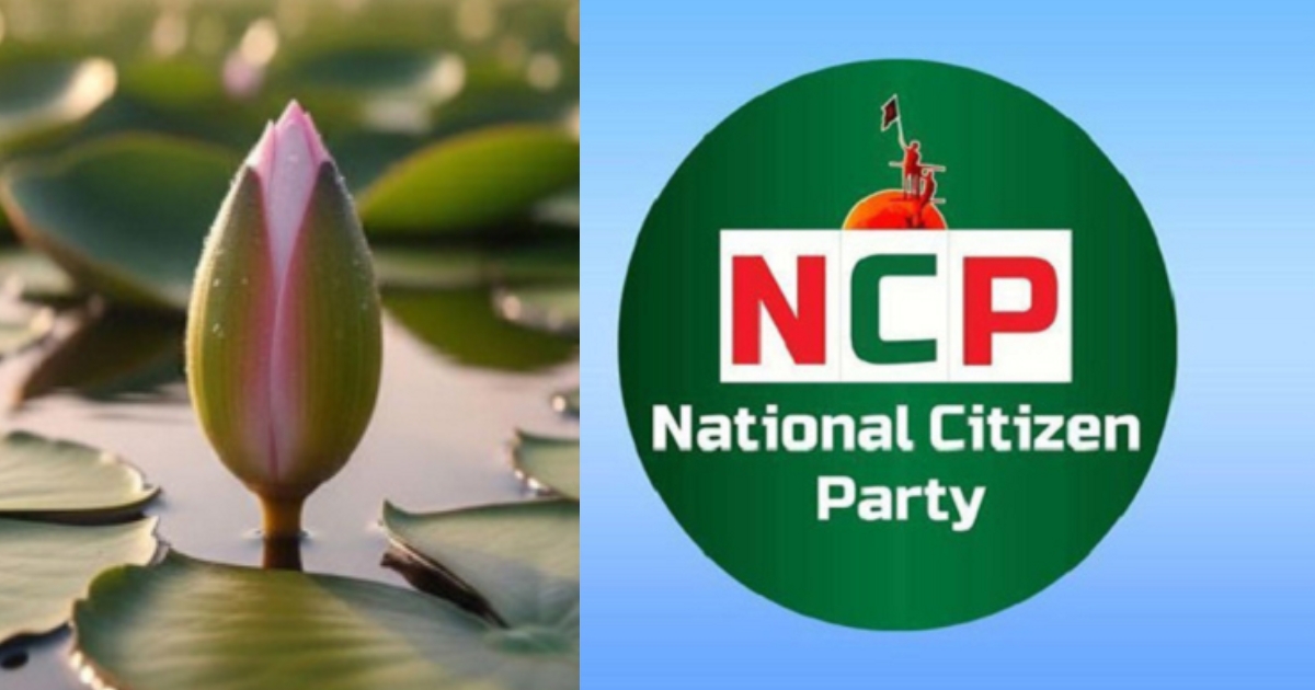 অবশেষে ‘শাপলা কলি’ প্রতীক নিতে সম্মত হয়েছে এনসিপি