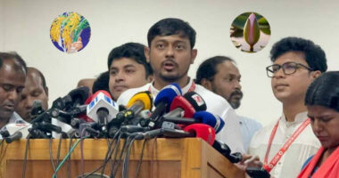 ধানের শীষ ও শাপলা কলির হাড্ডাহাড্ডি লড়াই হবে : নাসীরুদ্দীন পাটওয়ারী