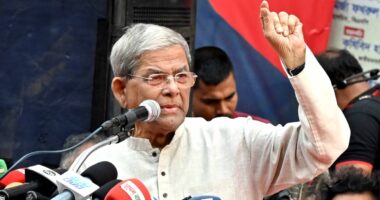 যতই সময় যাচ্ছে,দেশের শত্রুরা আবার মাথাচাড়া দিয়ে উঠতে শুরু করেছে : মির্জা ফখরুল