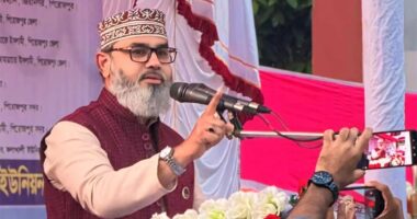 জামায়াতে ইসলামীকে ভোট দিন,বাংলাদেশকে উন্নয়নের স্বর্গরাজ্যে পরিণত করব ইনশাআল্লাহ : মাসুদ সাঈদী