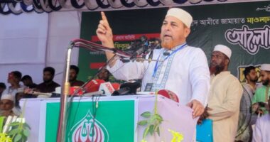 জনগণ নীরব বিপ্লব হিসেবে দাঁড়িপাল্লাকে বিজয়ী করবে : রফিকুল ইসলাম