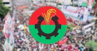 দলীয় মনোনয়ন ঘিরে সহিংসতায় বিএনপির ৪ নেতা বহিষ্কৃত