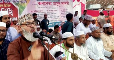 শত্রুরা আমাদের দীর্ঘদিনের বন্ধু বিএনপির সঙ্গে দ্বন্দ্ব তৈরির চেষ্টা করছে : মাসুদ সাঈদী