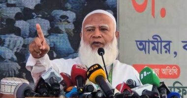 নির্বাচন না হলে জনগণকে সাথে নিয়ে ফেব্রুয়ারিতেই নির্বাচন আদায় করে নেব : ডা. শফিকুর রহমান