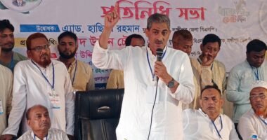 রংধনুর মতো ঐক্যের প্রতীক বিএনপি, নেই ফ্যাসিবাদ, দখলদারিত্ব, ও প্রতিহিংসা : এ্যানি