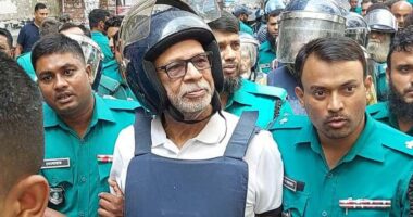 জামিন পেলেন আওয়ামী লীগের বহিষ্কৃত সদস্য ও সাবেক মন্ত্রী লতিফ সিদ্দিকী