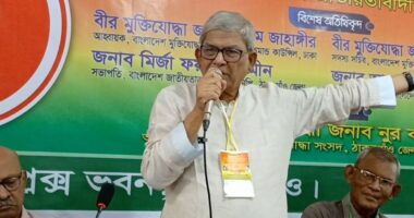 নির্বাচন সামনে রেখে ধর্মকে ব্যবহার করে, মুক্তিযুদ্ধকে এখন ভুলিয়ে দেয়ার চেষ্টা চলছে : মির্জা ফখরুল