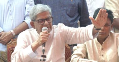 নৌকা নেই হতাশ হবেন না, ধানের শীষ আপনাদের পাশেই আছে : নৌকার সমর্থকদের মির্জা ফখরুল