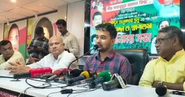 ধানের শীষেই মুক্তির পথ, তারেক রহমানই শহীদ মুগ্ধদের স্বপ্নের বাস্তব রূপ : মীর স্নিগ্ধ