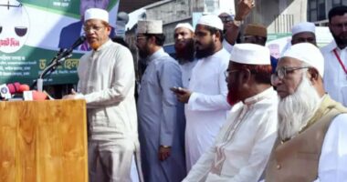 গণভোট না হলে নির্বাচন হবে ২০২৯ সালে : হামিদুর রহমান আযাদ