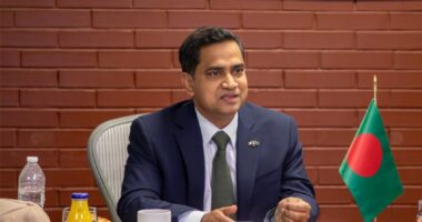 “ধানের শীষ একসময় ছিল সার্বজনীন প্রতীক,সব বিষয়ে ঐকমত্য না থাকলেও, কিছু মৌলিক বিষয়ে ঐকমত্য অত্যাবশ্যক”