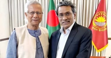 উপদেষ্টা পদমর্যাদায় বিশেষ সহকারী হলেন অধ্যাপক আলী রীয়াজ