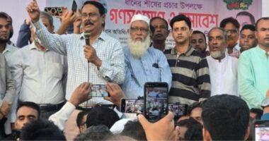 খালেদা জিয়া ও তারেক রহমানের প্রতি ভালোবাসাই বিএনপির শক্তি, বিএনপি বিজয়ী হবে ইনশাআল্লাহ : মিলন