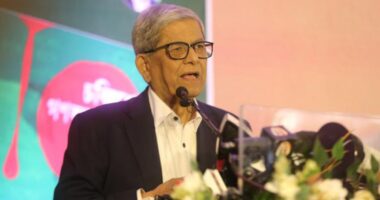 রাজনৈতিক দলগুলো সাংবাদিকদের পকেটে নিতে চায় না, সাংবাদিকরাই রাজনীতিকদের পকেটে ঢুকে পড়েন : ফখরুল