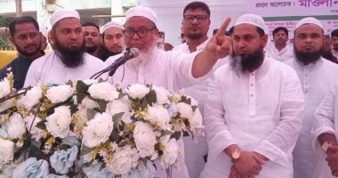 নির্দোষ আওয়ামী লীগরা আমাদের কাছে জামাই আদরে থাকবেন : মনির কাসেমী