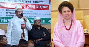 দেশ ও দেশের মানুষের জন্য বেগম খালেদা জিয়ার বেঁচে থাকা প্রয়োজন : বুলু