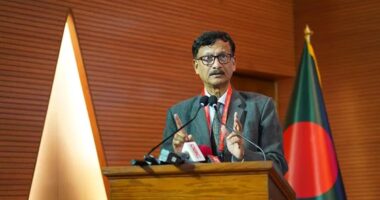 ‘শেখ হাসিনাকে হস্তান্তরে আগের চিঠির উত্তরই পাইনি, তবে এবারের চিঠির তাড়াতাড়ি উত্তর পাব’: পররাষ্ট্র উপদেষ্টা