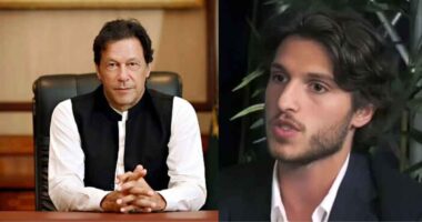 ‘ইমরান খানের জীবিত থাকার কোনো প্রমাণ নেই’ : কাসিম খান