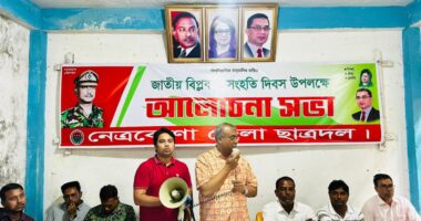 সংহতি দিবস উপলক্ষে নেত্রকোনা জেলা ছাত্রদলের আলোচনা সভা