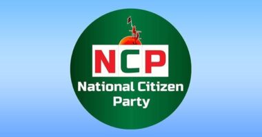 আ.লীগের নাশকতা মোকাবিলায় মাঠে থাকবে এনসিপি