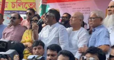 সিপাহি বিপ্লবের মধ্য দিয়ে জিয়াউর রহমান মুক্ত হয়েছিল এবং গণতন্ত্র  রক্ষা পেয়েছিল : দুলু