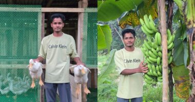 দীঘিনালার শাহপরান : চাকরির পেছনে নয়, কৃষিতেই সফলতার স্বপ্ন