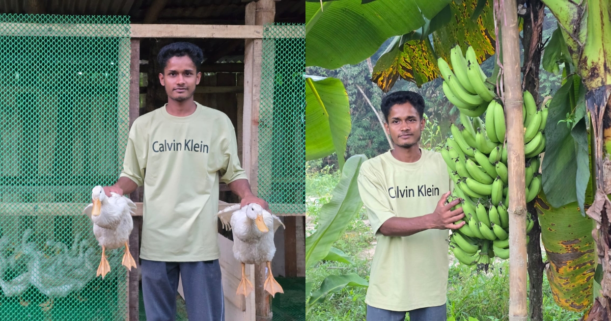 দীঘিনালার শাহপরান : চাকরির পেছনে নয়, কৃষিতেই সফলতার স্বপ্ন