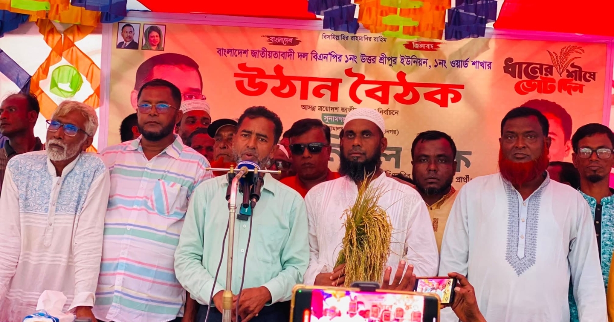 বিএনপি ক্ষমতায় গেলে কৃষক ও কৃষির স্বার্থে আলাদা হাওর মন্ত্রণালয় গঠন করা হবে : আনিসুল হক