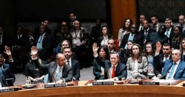 গাজায় আন্তর্জাতিক বাহিনী মোতায়েনে জাতিসংঘের সমর্থন, প্রত্যাখ্যান হামাসের