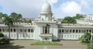 তত্ত্বাবধায়ক সরকার পুনর্বহাল, চতুর্দশ সংসদ নির্বাচন থেকে কার্যকর