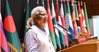 নির্বাচন শান্তিপূর্ণ করতে সশস্ত্র বাহিনীর সহযোগিতা চাইলেন প্রধান উপদেষ্টা