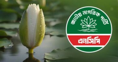 নতুন জোটের ঘোষণা এনসিপির