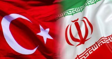 ইসরাইল মধ্যপ্রাচ্যের মুসলিম দেশগুলোকে খণ্ডবিখণ্ড করতে চাইছে: তুর্কি বিশেষজ্ঞ