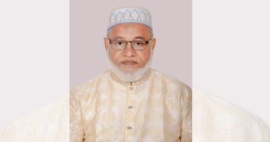 জামায়াতে ইসলামী কোনো পুকুর নয় যে, কিনারে দাঁড়িয়েই বুঝে ফেলা যাবে — অধ্যাপক মুহম্মদ শাহ আলম