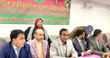 ঐকমত্য কমিশনের সহসভাপতি, আলী রীয়াজের পদত্যাগ দাবি নিউইয়র্ক বিএনপির