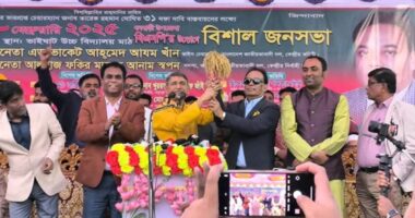 টাঙ্গাইল-১ এ ধানের শীষের প্রার্থী ফকির মাহবুব আলম স্বপন মনোনয়ন পেলেন