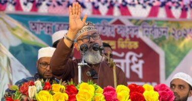 জামায়াতে ইসলামী ভোটে জিতলে বাংলাদেশকে উন্নয়নের স্বর্গরাজ্যে পরিণত করবে: মাসুদ সাঈদী