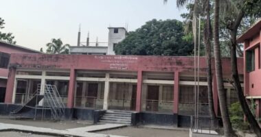 হঠাৎ বন্ধ ৬৩ শিক্ষকের বেতন, দিশেহারা মুন্সিগঞ্জের প্রাথমিক শিক্ষকরা