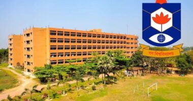 গবির বাংলা বিভাগে নিয়মবহির্ভূতভাবে ক্লাস নিচ্ছেন আর্কাইভসের গবেষক