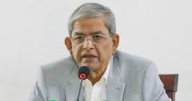 আ.লীগের মামলা তুলে নেয়ার বিষয়ে কোনো বক্তব্য দেইনি: মির্জা ফখরুল