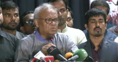 ড. ইউনূসের প্রশাসন থেকেই দোসরদের প্রশ্রয় দেওয়া হচ্ছে: রিজভী