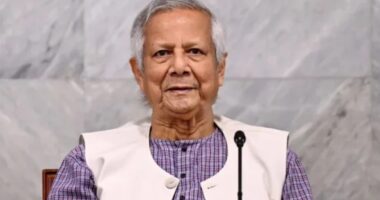 ভূমিকম্পের ক্ষয়ক্ষতি নিরূপণে মাঠপর্যায়ে কাজের নির্দেশ প্রধান উপদেষ্টার