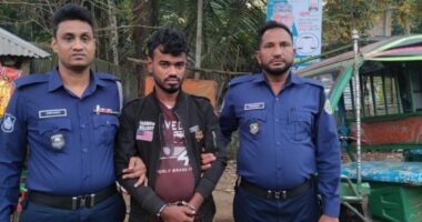 পিরোজপুরে ইয়াবাসহ যুবক গ্রেফতার, ভ্রাম্যমাণ আদালতে এক মাসের কারাদণ্ড