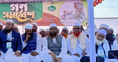 সরকারের সব খাত দুর্নীতির আখড়ায় পরিণত হয়েছে : মামুনুল হক